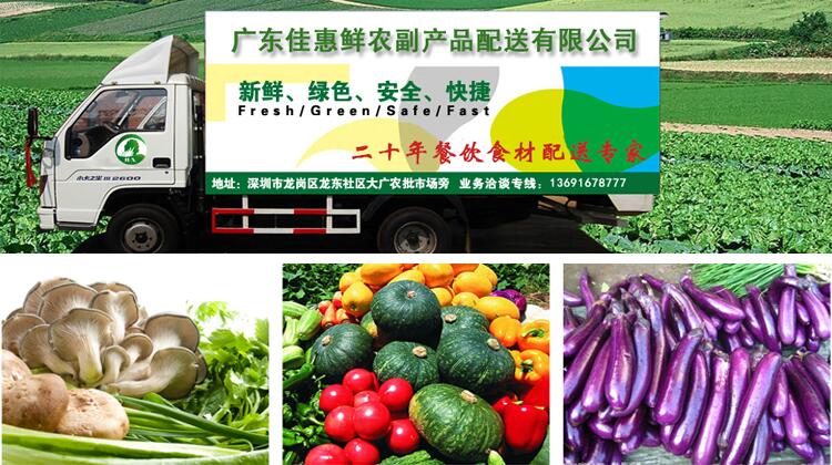 蔬菜配送方案 - 農副產品配送方案