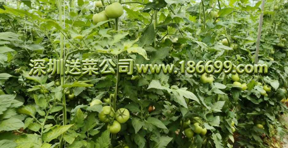 微信圖片_20251113183348_102_35.png