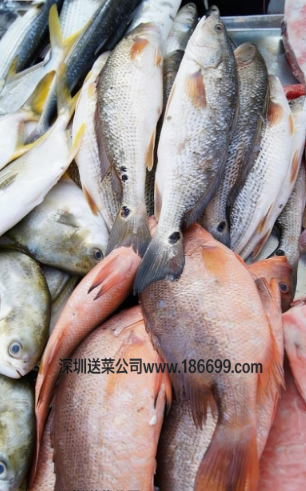 微信圖片_20251208212255_164_3.png